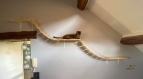 Pont pour chat de 3 mètres