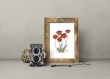 Carte 10 cm x 15 cm illustration coquelicot, dessin fleur vintage, silhouette de fleur colorée, décoration botanique, illustration fleur abstraite, cadeau noel rétro
