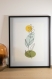 Carte 10 cm x 15 cm dessin fleur jaune, affiche fleur, dessin fait main, illustration fleur,  dessin fleur, affiche fleur, dessin minimaliste, dessin lineart