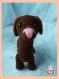 Petit chien teckel au crochet ( chocolat )