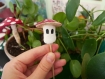 Décoration pour plantes en forme de champignons