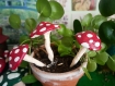 Décoration pour plantes en forme de champignons