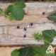 Bracelet de main triquetra celtique améthyste, noeud argenté et pierre fine violette, bijou bague pour mariage médiéval elfique, ésotérique
