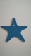 Etiquette x12 étoile de mer