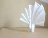 Paon origami